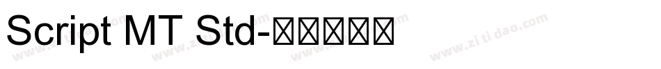 Script MT Std字体转换